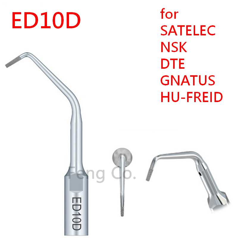 Dental Scaler Ultrasonic - ED10D Dental Ultrasonic Scaler Tips Scaling