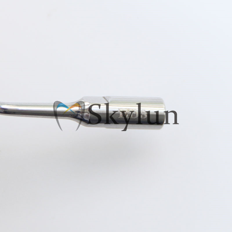 5PCS Dental Ultrasonic Scaler  - Dental Scaler Ultrasonic recension och pris